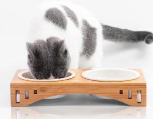 Pet wooden bowl