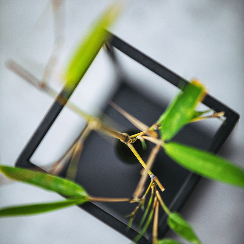 Japanese Style And Zen Tea Table Decoration, Flower Arrangement, Tea Art Performance, Tea Space Plant Londecor