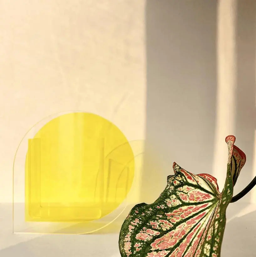 Modern Simple Acrylic Vase, Living Room Designer, Colorful Vase Decoration. - Londecor