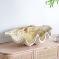 Decor Ornament Conch Shell