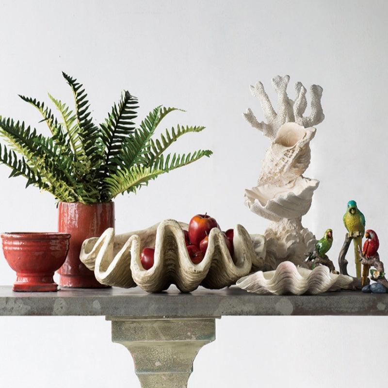 Decor Ornament Conch Shell