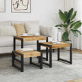 Solid Mango Wood Tables 3 pcs