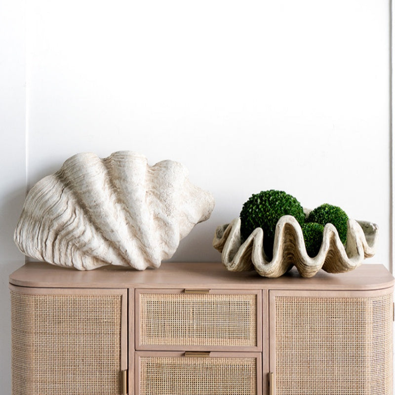 Decor Ornament Conch Shell