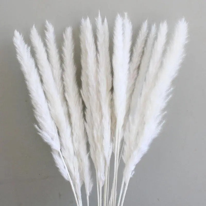 Natural Air-Dried Decorative Flowers. - Londecor