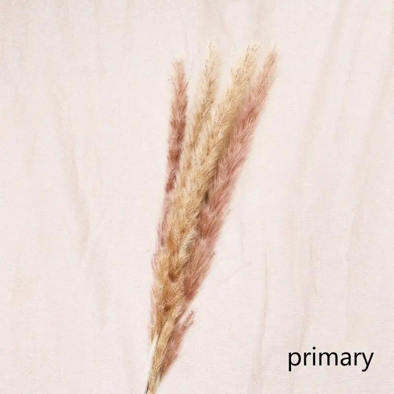 Dried Flowers Home Decoration - Londecor