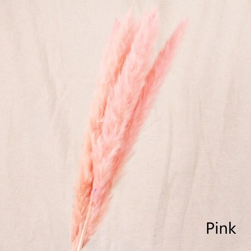 Dried Flowers Home Decoration - Londecor